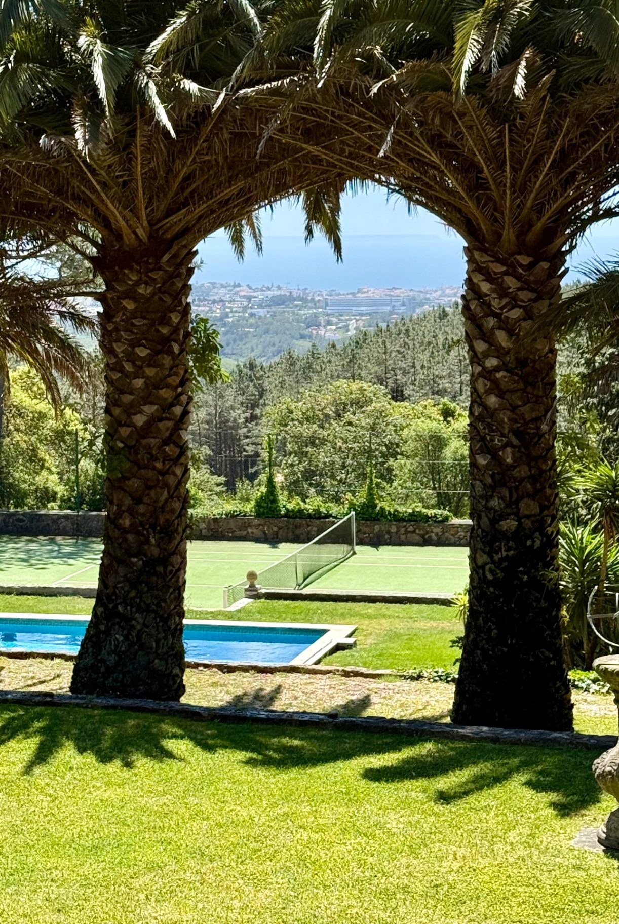 Saibreiro Estate — Pool through palms