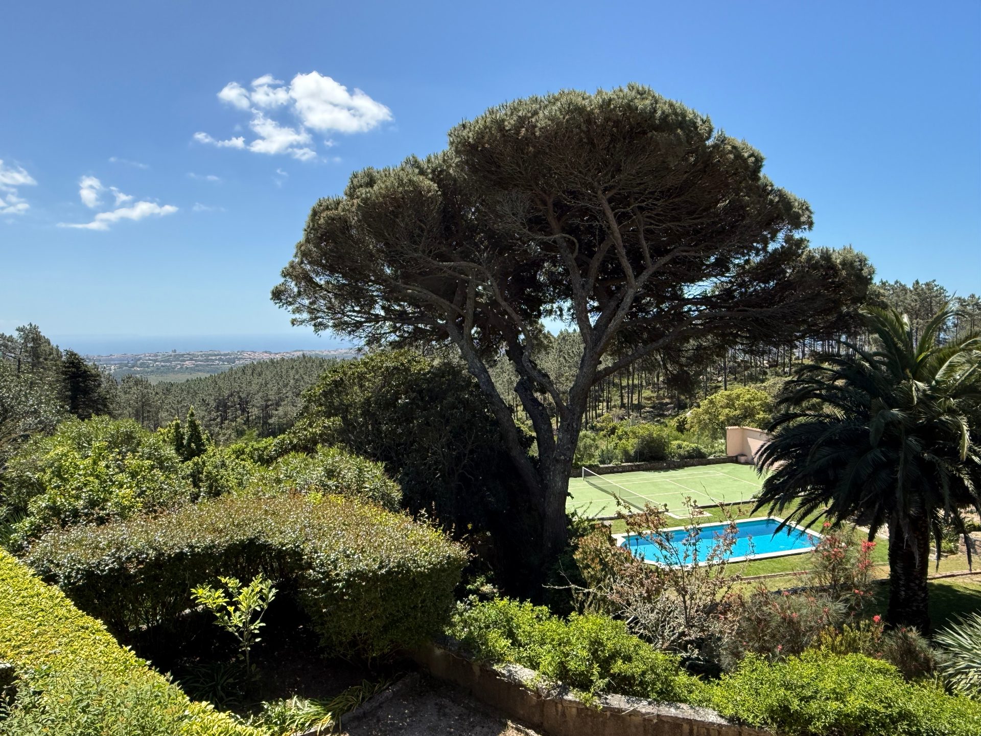 Saibreiro Estate — Estate view